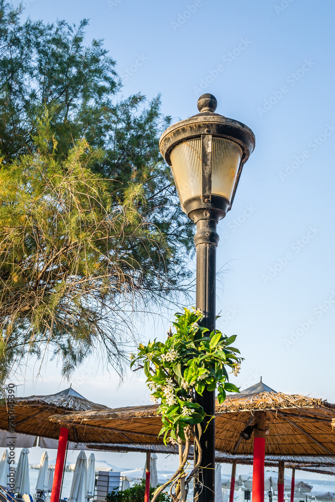 Lanterns open gardens in Leptokaria, Greece Lanterns open gardens in Leptokaria, Greece