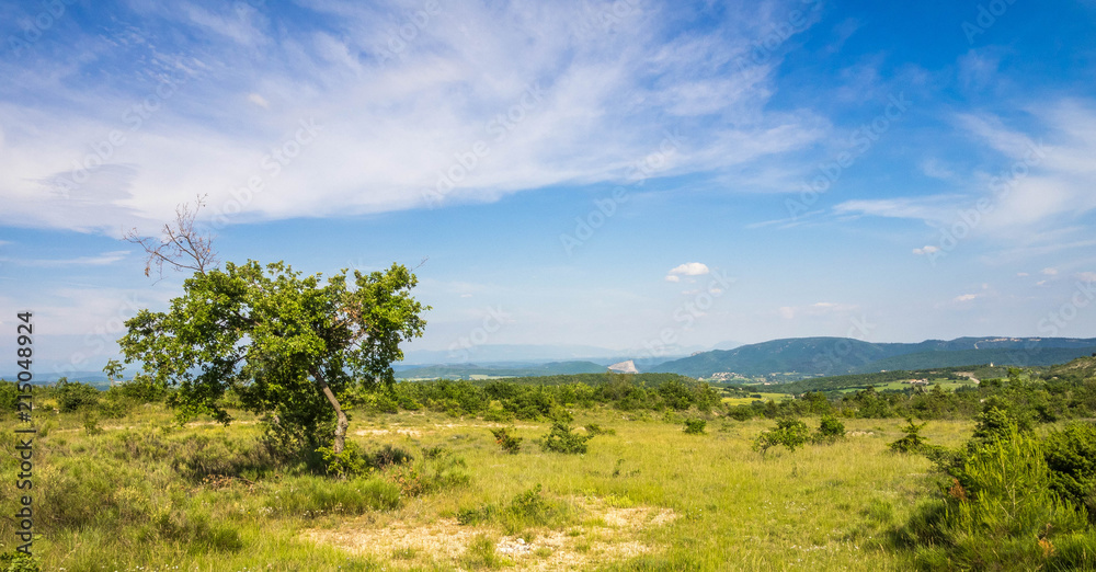 Obraz premium Landschaft Provence