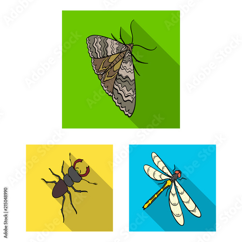 Different kinds of insects flat icons in set collection for design. Insect arthropod vector isometric symbol stock web illustration.