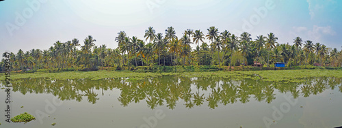 This super wide panorama taken from a houseboat in the famous backwaters of Kerala, India reveals a stunning reflection of the tropical trees in the backwaters. The floating lilies add to the charm.