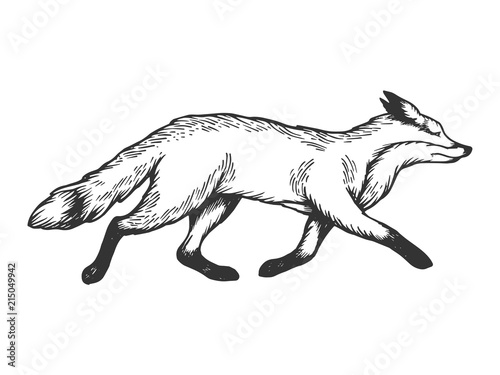 Running fox animal engraving vector illustration