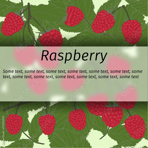 Vector raspberry banner