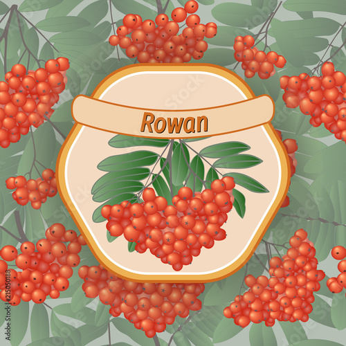 Vector rowan label