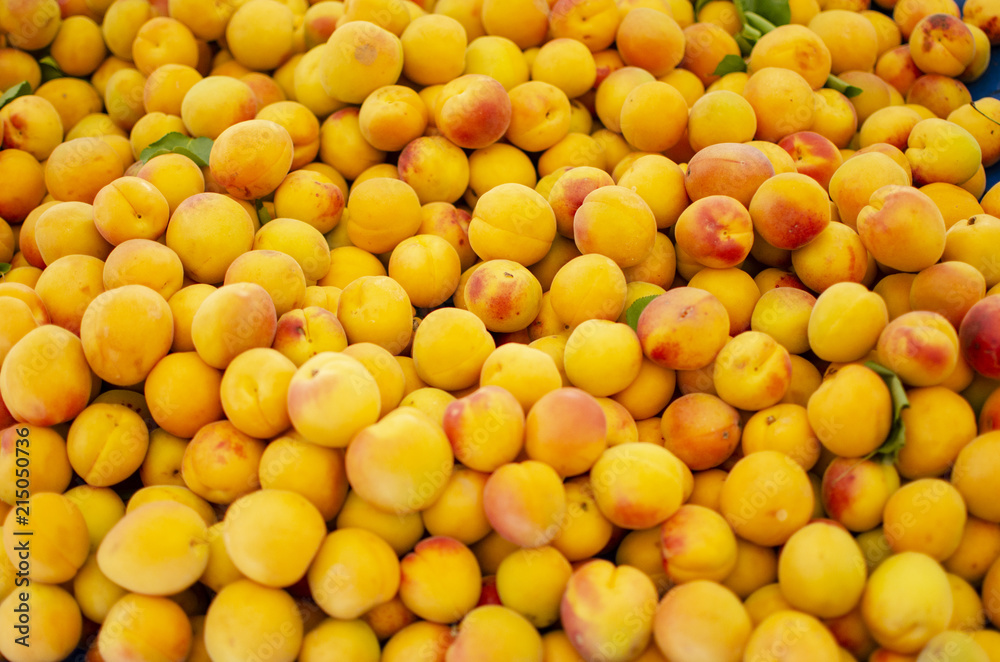 yellow apricots on the market