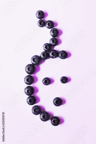 bilberries isolated on a white background