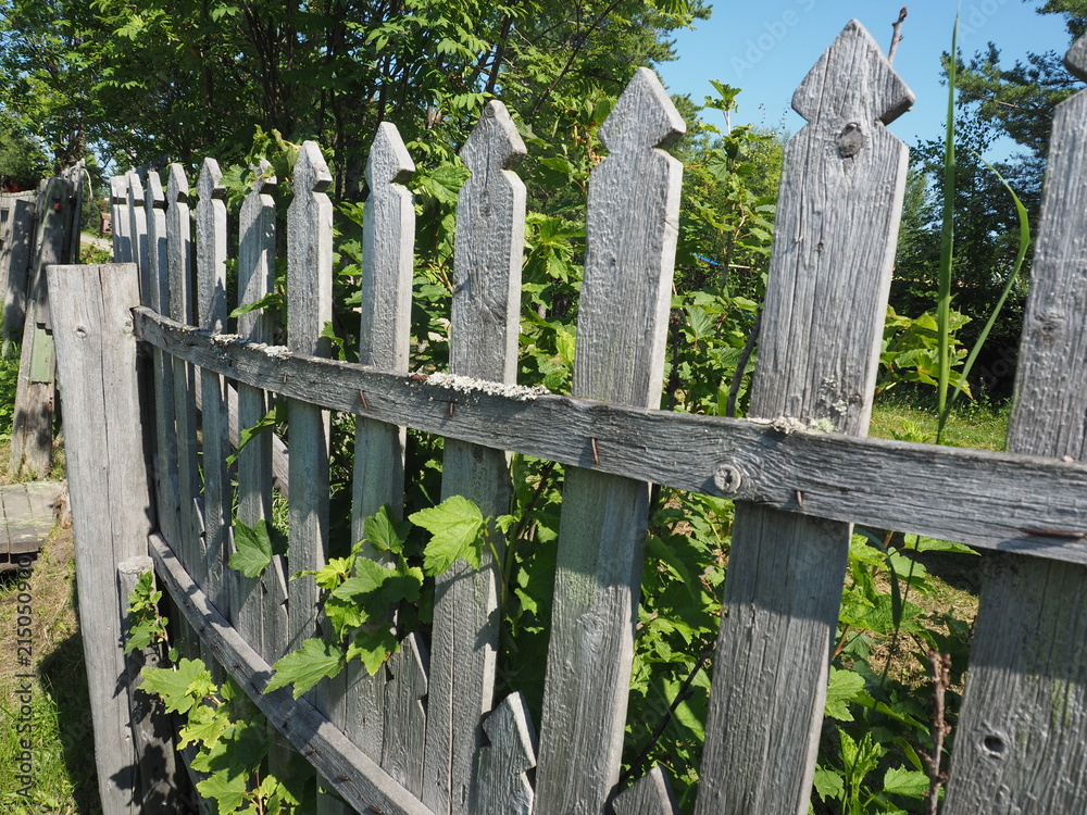 fence moss fence moss