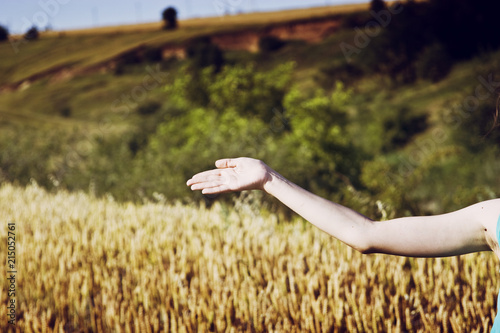 Girl's hand on the background of a wheat field