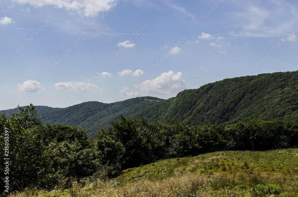 Fototapeta premium Bieszczady panorama