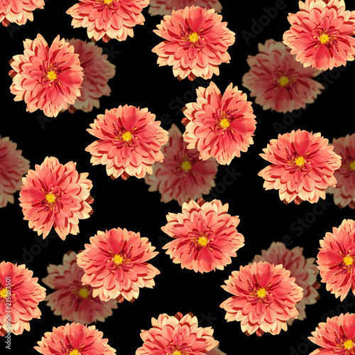 Fototapeta Naklejka Na Ścianę i Meble -  Beautiful floral background of dahlias 