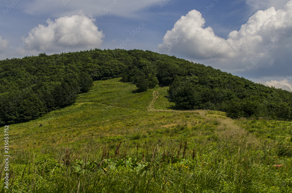 Bieszczady panorama 