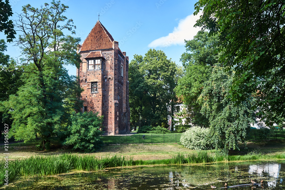 Fototapeta premium The medieval tower of bricks in Szamotuly in Poland.