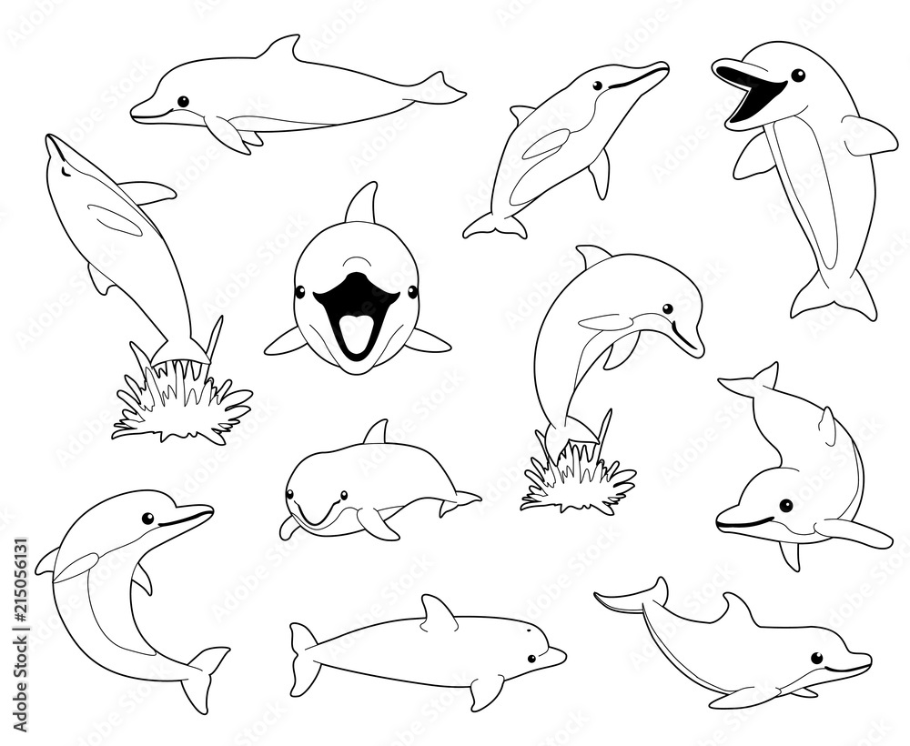 Fototapeta premium Cute Dolphin Coloring Book Cartoon Vector Illustration
