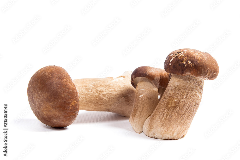 Several porcini mushrooms known as boletus edulis isolated on white background. Several porcini mushrooms known as boletus edulis isolated on white background.