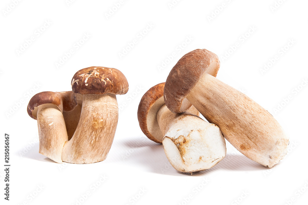 Several porcini mushrooms known as boletus edulis isolated on white background. Several porcini mushrooms known as boletus edulis isolated on white background.