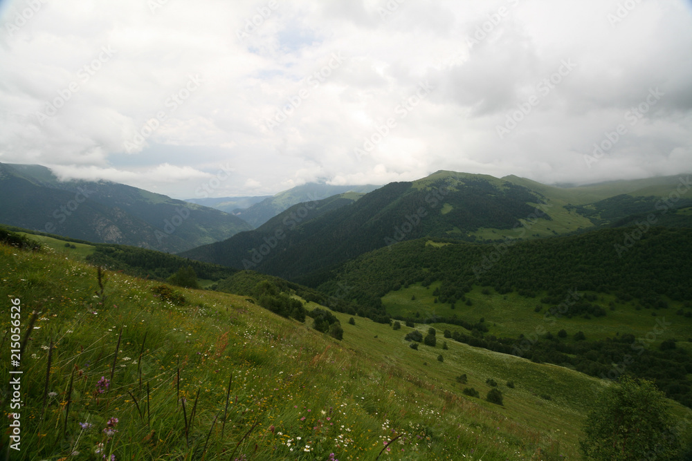 Naklejka premium Summer alpine meadows, Arkhyz.