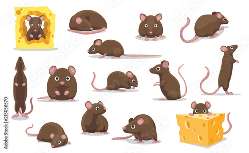 Cute Brown Rat Various Poses Cartoon Vector Illustration photo