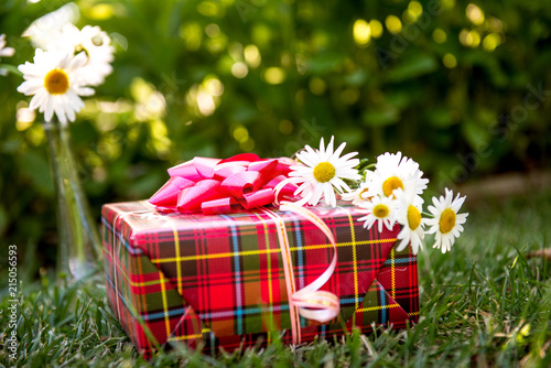 gift and bunch of chamomiles. Summer gift, summer holiday, birthday party in the park. daisies and gift box 
