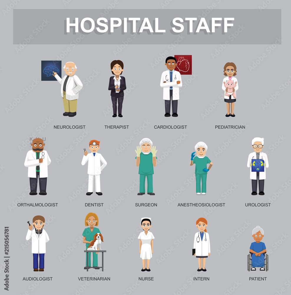 Hospital Staff Cartoon Characters Cartoon Vector Illustration Stock Vector  | Adobe Stock