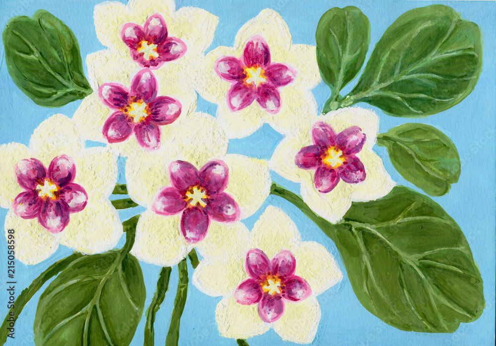 Beautiful hoya carnosa flowers hand paint card background watercolor