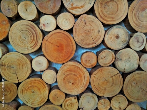 Group of Round Cutting wood