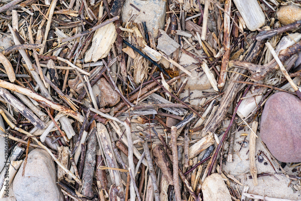 Flotsam at the beach. Let´s clean up the beach Flotsam at the beach. Let´s clean up the beach