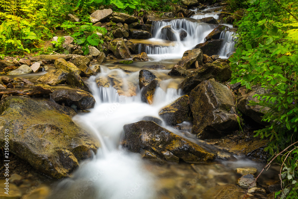 Forest creek with waterfalls