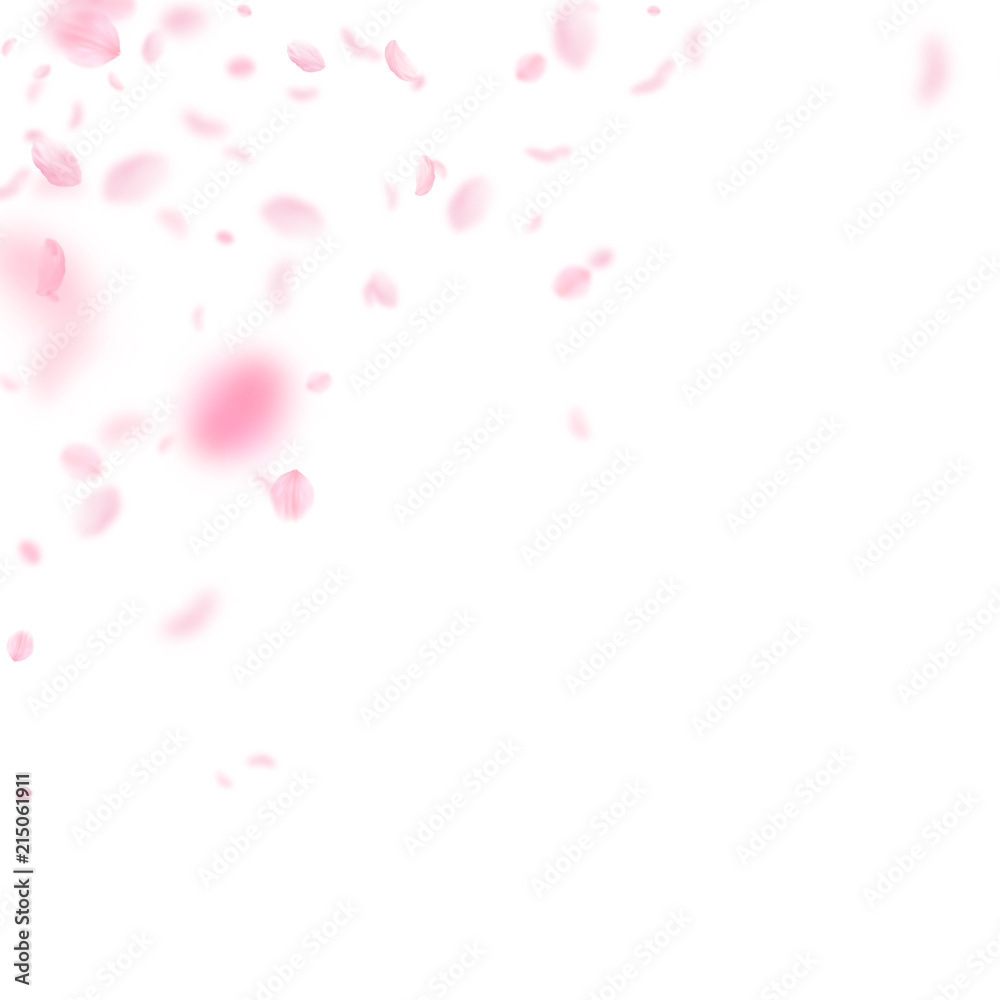 Sakura petals falling down. Romantic pink flowers corner. Flying petals on white square background. 