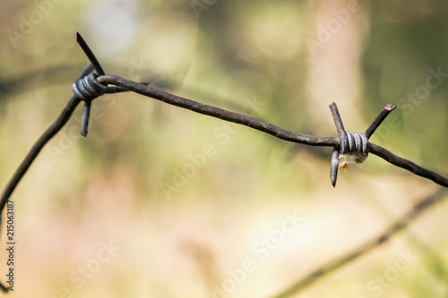 old and rusty barbed wire against nature background