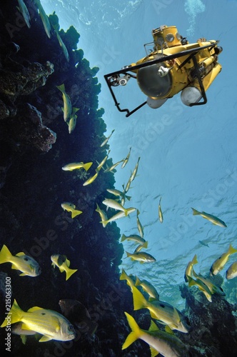 Middle East Egypt Red Sea Black spot Snapper Lutjanus ehrenbergi COMPOSING>submarine