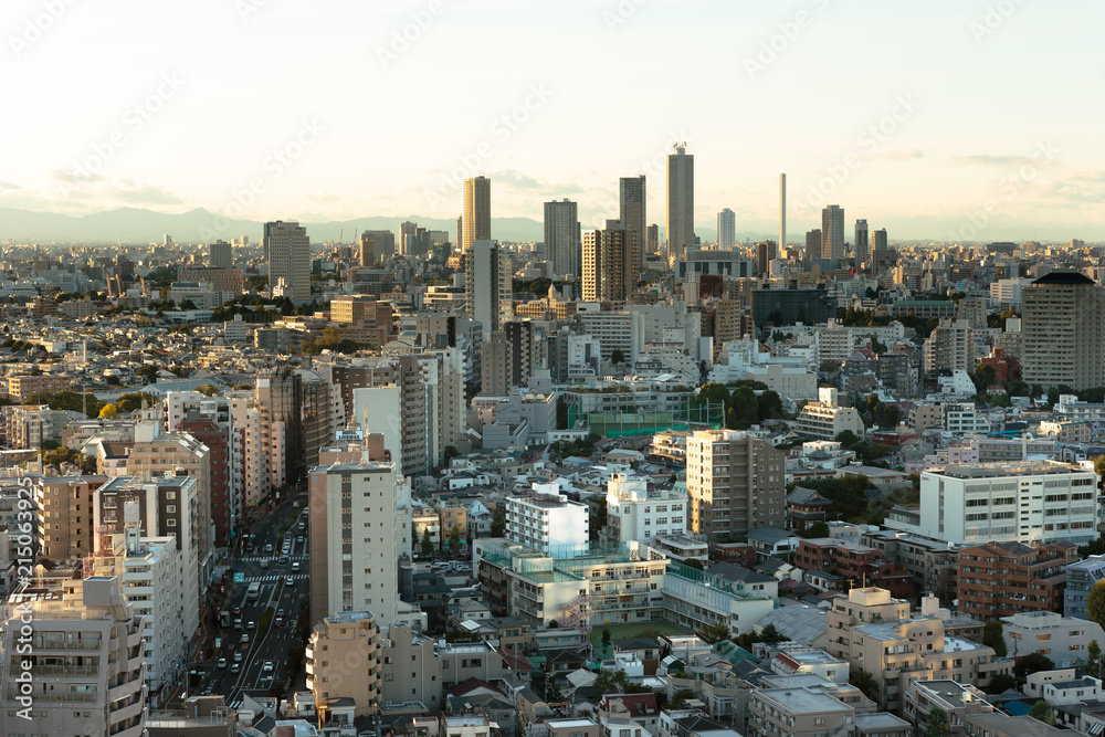 Obraz premium 東京・文京区シビックセンターからの夕景