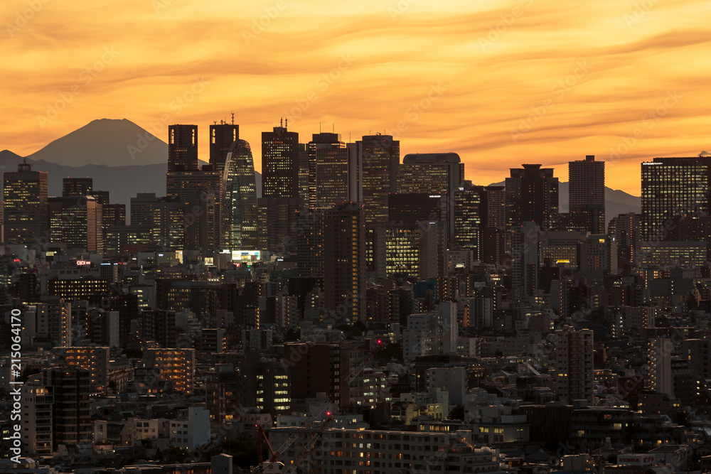 Fototapeta premium 東京・新宿の夜景と富士山
