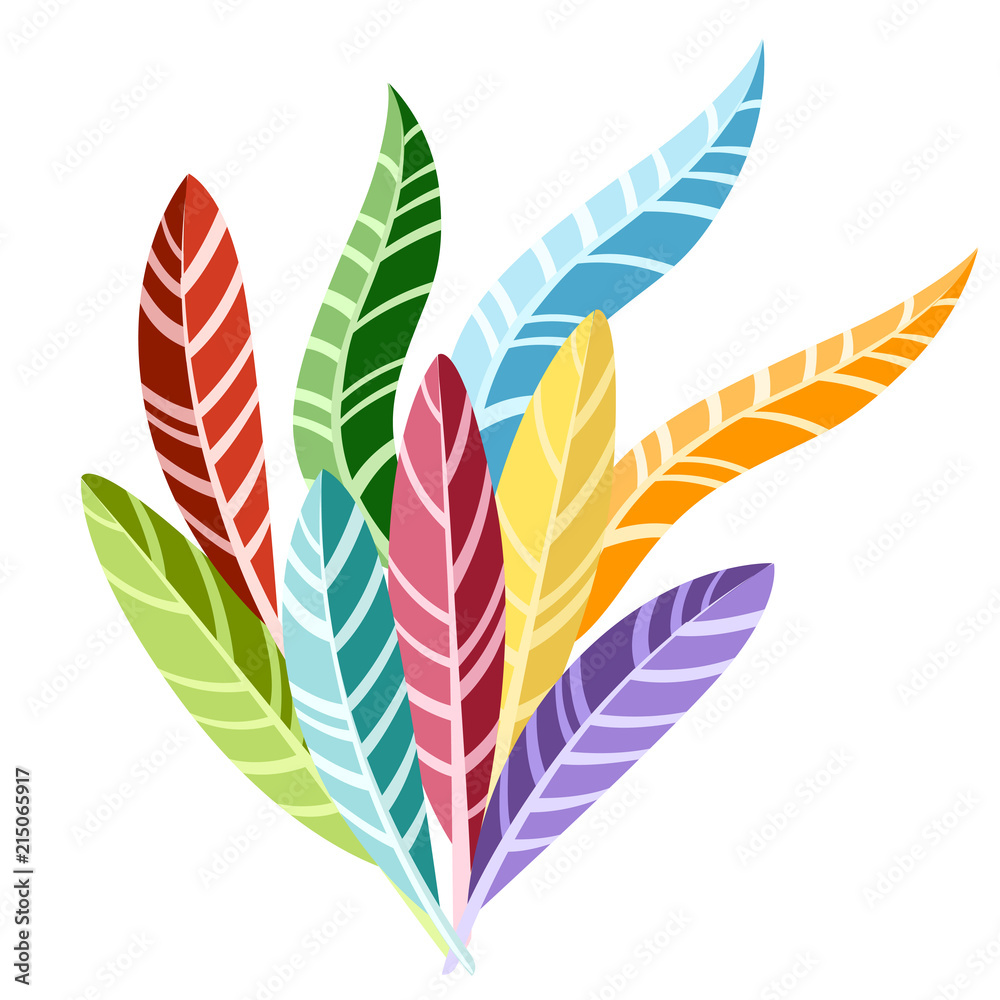 Fototapeta Group of colored bright feathers. Flat vector illustration isolated on white background