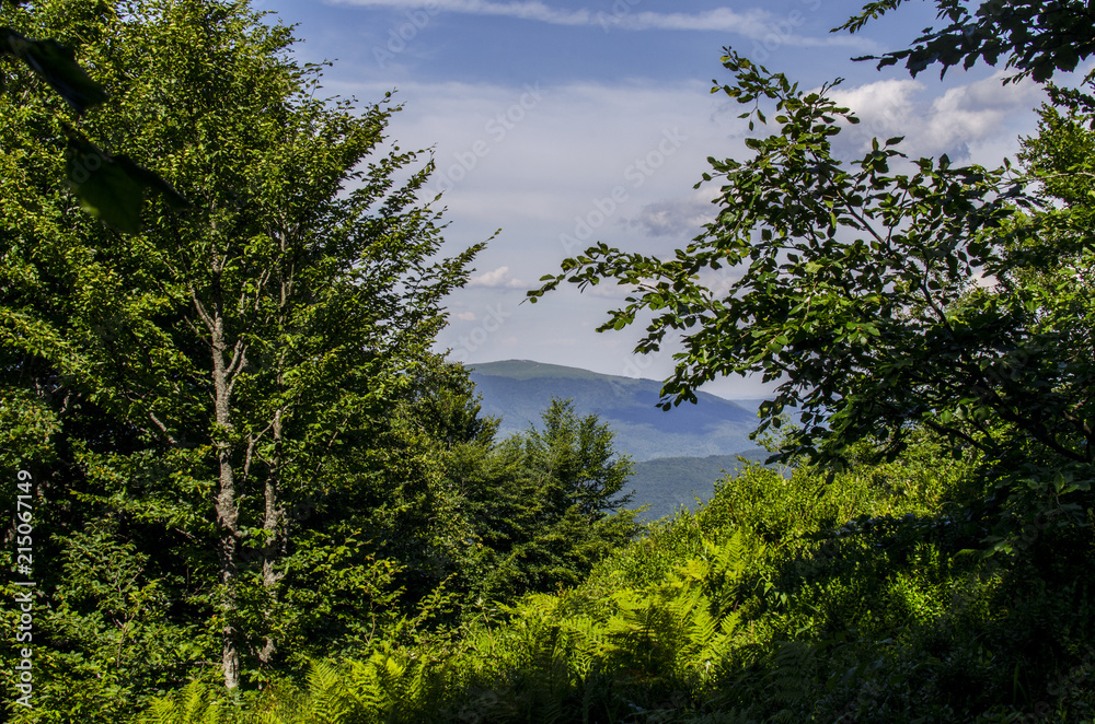 Obraz premium panorama Bieszczady połoniny