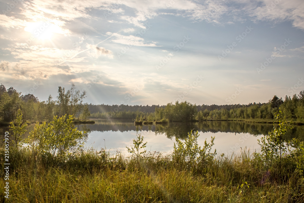 Summer landscape on the lake