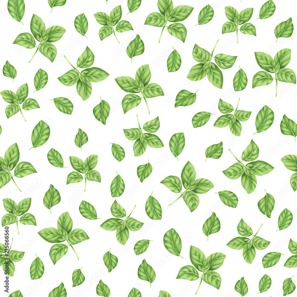 Seamless pattern with basil, watercolor painting Seamless pattern with basil, watercolor painting