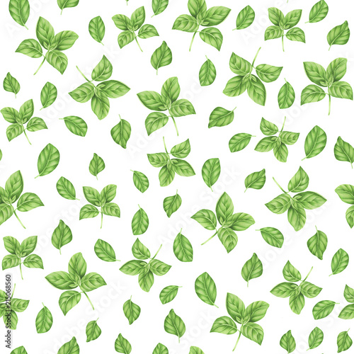 Seamless pattern with basil, watercolor painting
