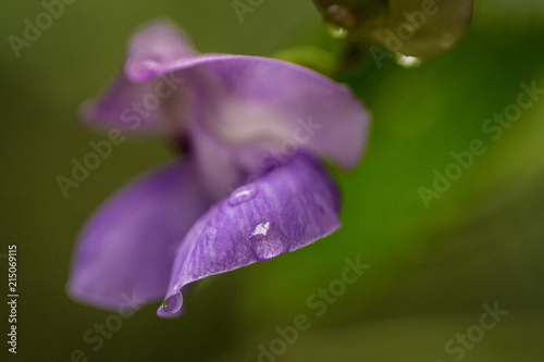 Droplets photo