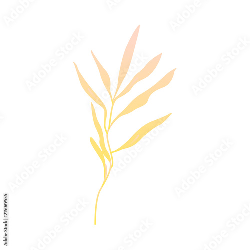 Wallpaper Mural Abstract autumn yellow plant flower icon. Meadow, garden romantic wedding invitation card, autumnal seasonal holiday, harvest decoration element. Floral vector illustration isolated Torontodigital.ca