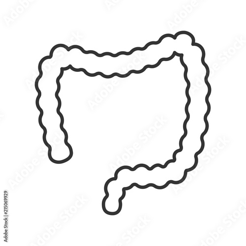 Large intestine linear icon