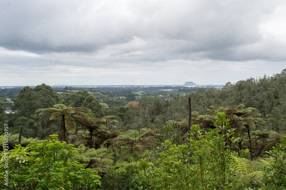Obraz premium Te Puna Quarry park