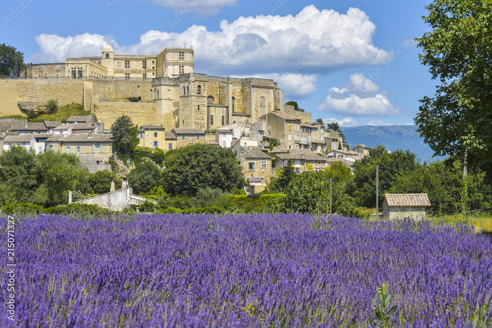 village Grignan situated on a hill with lavender, Provence, France, village with castle Château de Grignan, in Drôme department, region Auvergne-Rhône-Alpes