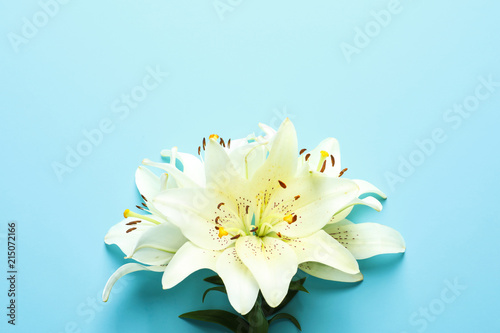 Fototapeta Naklejka Na Ścianę i Meble -  Composition with beautiful blooming lily flowers on color background
