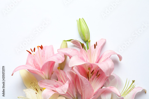 Fototapeta Naklejka Na Ścianę i Meble -  Composition with beautiful blooming lily flowers on white background