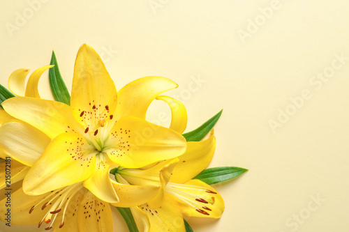 Composition with beautiful blooming lily flowers on color background photo