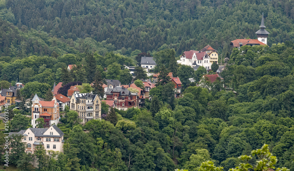 Eisenach Villen Wald Hügel