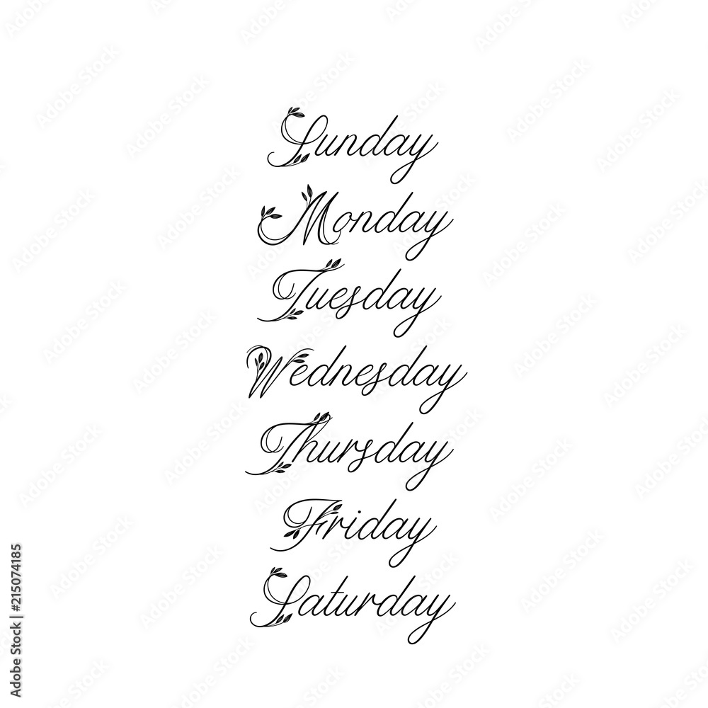 Handwritten Days of Week. Sunday, Monday, Tuesday, Wednesday, Thursday, Friday, Saturday. Modern Calligraphy. Isolated on White Background. Hand lettering calendar