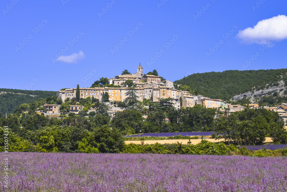 village Banon and flower meadow, Provence, France, department Alpes-de-Haute-Provence