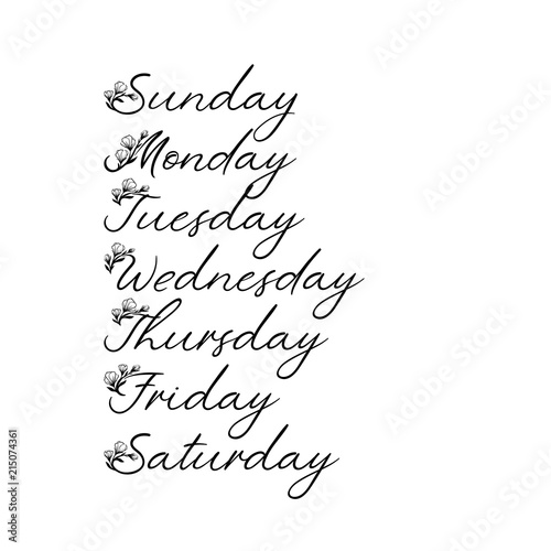 Days of the week in lettering. Monday, Tuesday, Wednesday, Thursday,  Friday, Saturday, Sunday. 13744520 Vector Art at Vecteezy