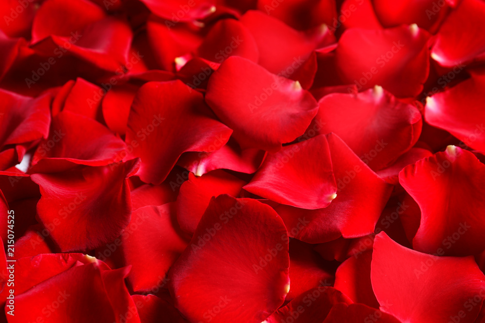 Beautiful red rose petals as background, closeup Beautiful red rose petals as background, closeup
