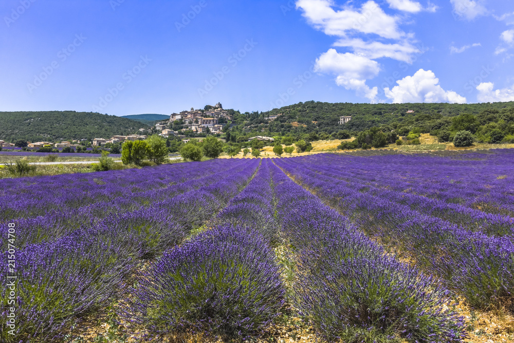 Naklejka premium panorama wit lavender and small town, vilalge Simiane-la-Rontonde, Provence, France, department Alpes-de-Haute-Provence